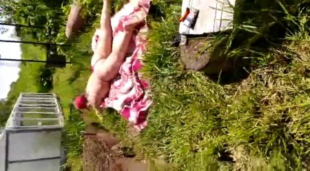 Муж снимает жену на даче — трусики отодвинуты, киска крупным планом